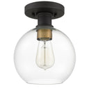 Dan 1-Light Globe Flush Mount Ceiling Light