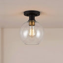 Dan 1-Light Globe Flush Mount Ceiling Light