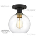 Dan 1-Light Globe Flush Mount Ceiling Light