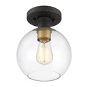 Dan 1-Light Globe Flush Mount Ceiling Light