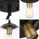 Fin 1-Light Globe Pendant Light