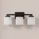 Adam 3-Light Bathroom Vanity Light