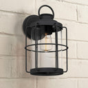 Cain 1-Light Outdoor Wall Mount Lantern
