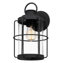 Cain 1-Light Outdoor Wall Mount Lantern