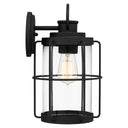 Cain 1-Light Outdoor Wall Mount Lantern
