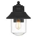 Abel Large 9.8" 1-Light Outdoor Wall Mount Lantern
