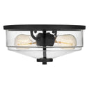 Noah 2-Light Flush Mount Ceiling Light