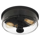 Noah 2-Light Flush Mount Ceiling Light