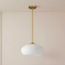 Juno 1-Light Oversize Glass Pendant Light